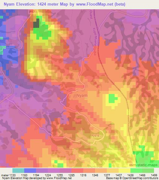 Nyam,Cameroon Elevation Map