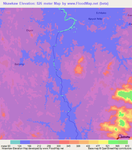 Nkawkaw,Cameroon Elevation Map