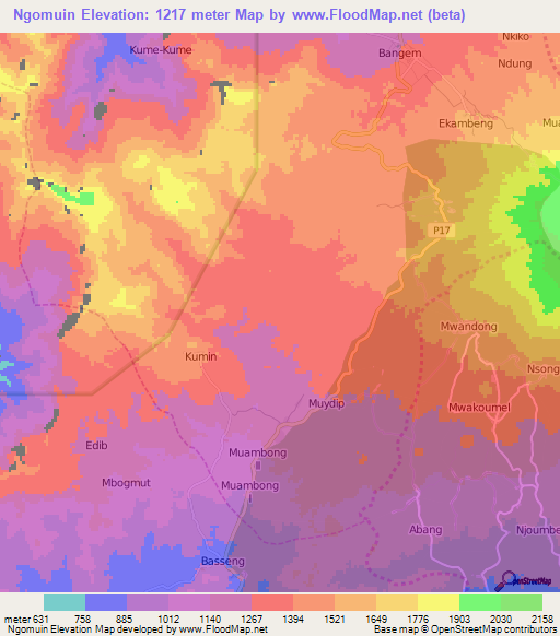 Ngomuin,Cameroon Elevation Map
