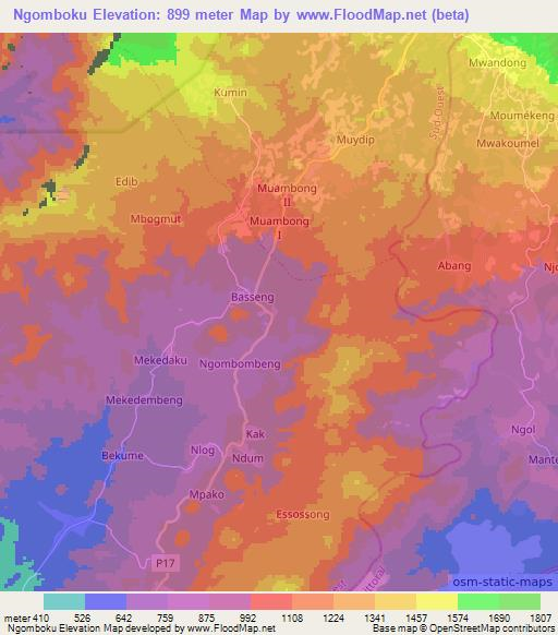 Ngomboku,Cameroon Elevation Map