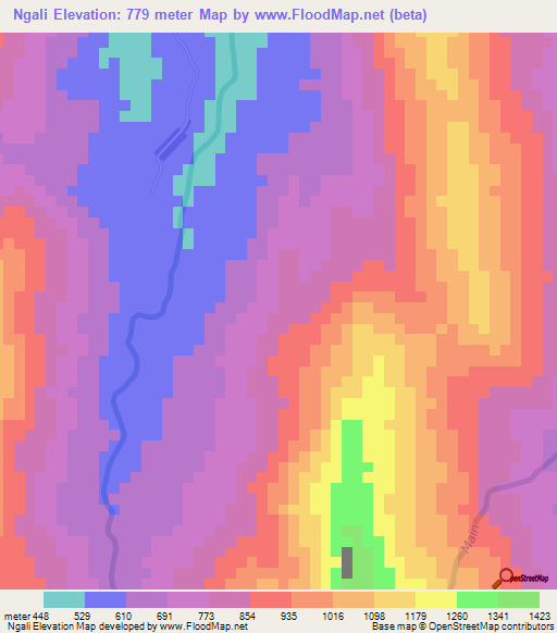 Ngali,Cameroon Elevation Map