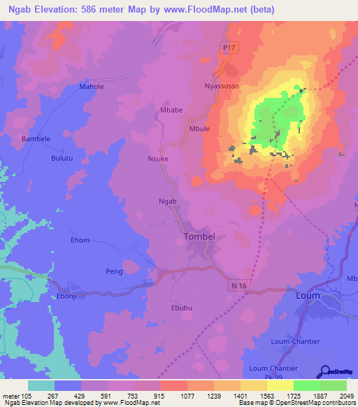 Ngab,Cameroon Elevation Map