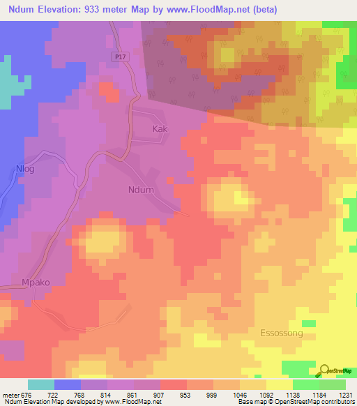 Ndum,Cameroon Elevation Map