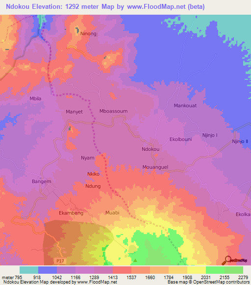 Ndokou,Cameroon Elevation Map