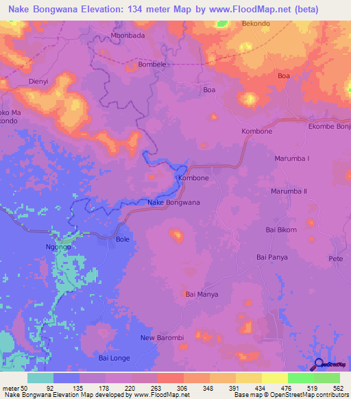 Nake Bongwana,Cameroon Elevation Map