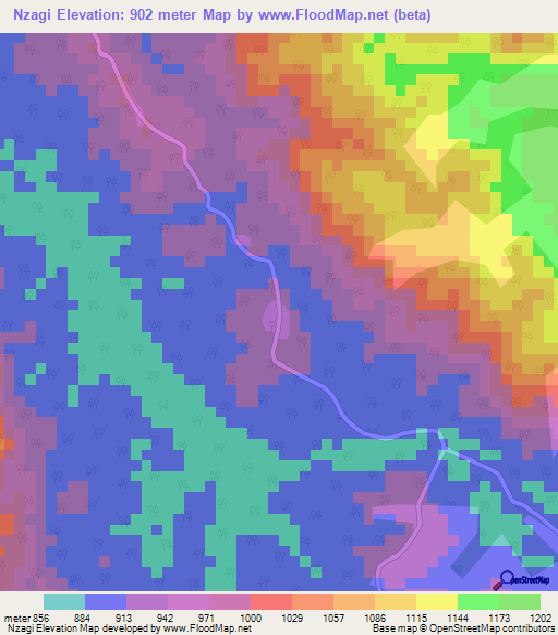Nzagi,Angola Elevation Map