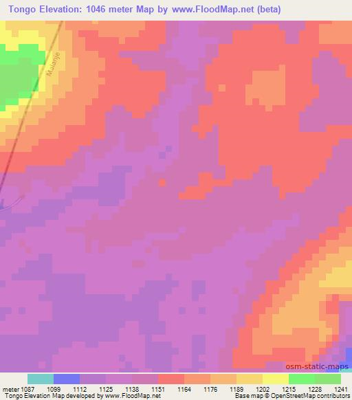 Tongo,Angola Elevation Map