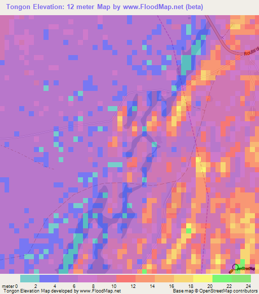 Tongon,Senegal Elevation Map