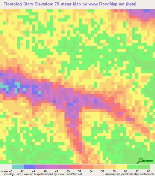 Tiomolog Diam,Senegal Elevation Map