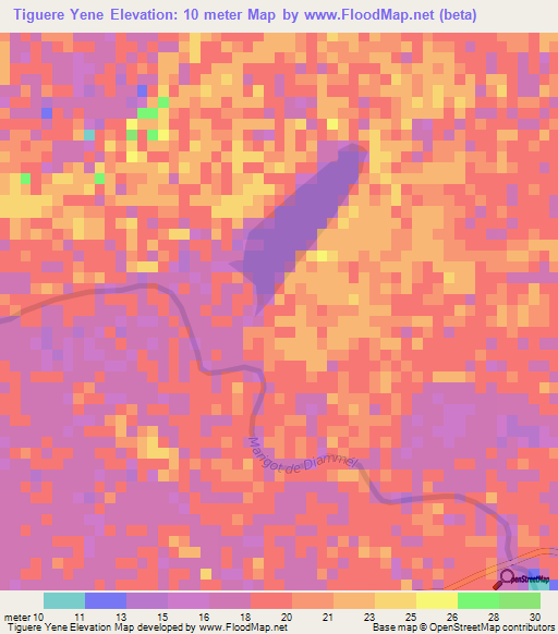 Tiguere Yene,Senegal Elevation Map
