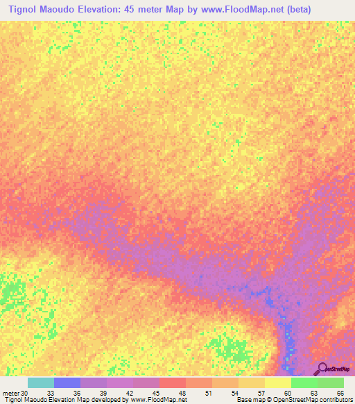 Tignol Maoudo,Senegal Elevation Map