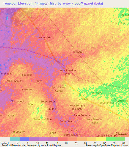 Tenefoul,Senegal Elevation Map