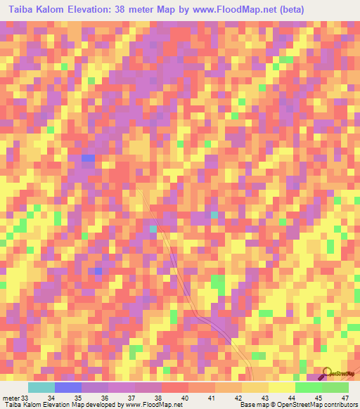 Taiba Kalom,Senegal Elevation Map