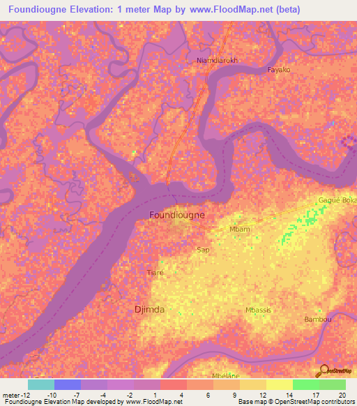Foundiougne,Senegal Elevation Map