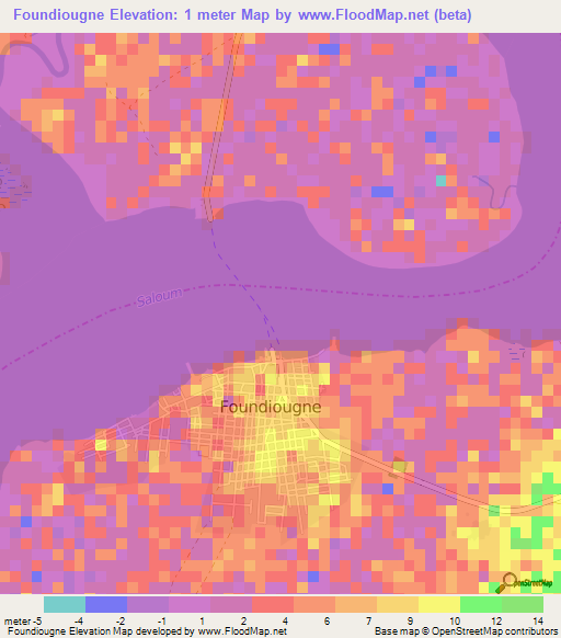 Foundiougne,Senegal Elevation Map