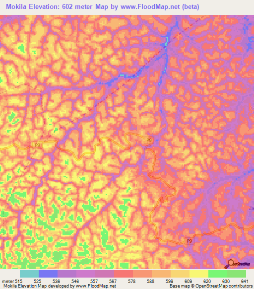 Mokila,Congo (Brazzaville) Elevation Map