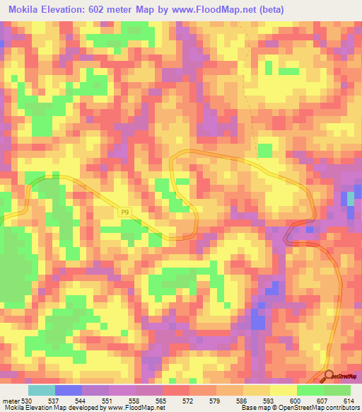 Mokila,Congo (Brazzaville) Elevation Map