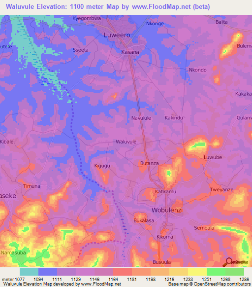 Waluvule,Uganda Elevation Map