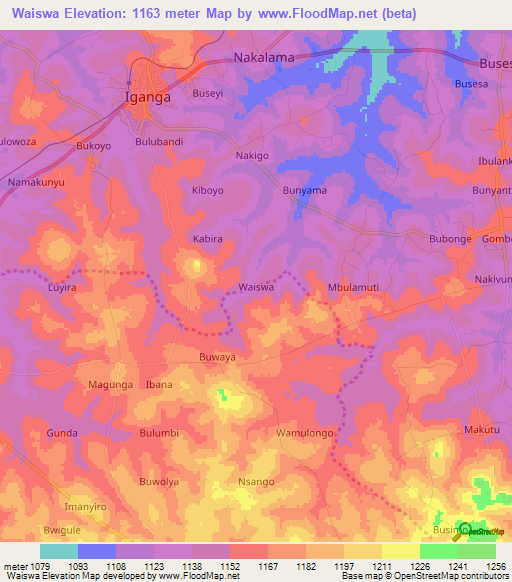 Waiswa,Uganda Elevation Map