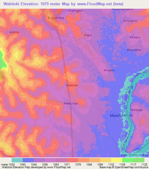 Wabitoki,Uganda Elevation Map