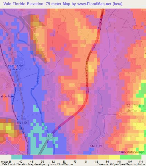 Vale Florido,Portugal Elevation Map