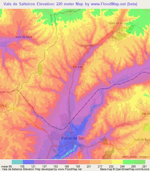 Vale de Salteiros,Portugal Elevation Map