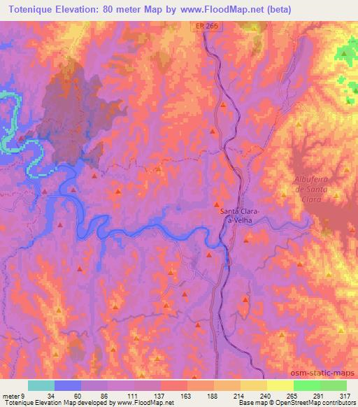Totenique,Portugal Elevation Map