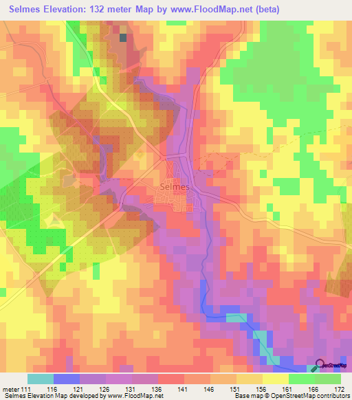 Selmes,Portugal Elevation Map