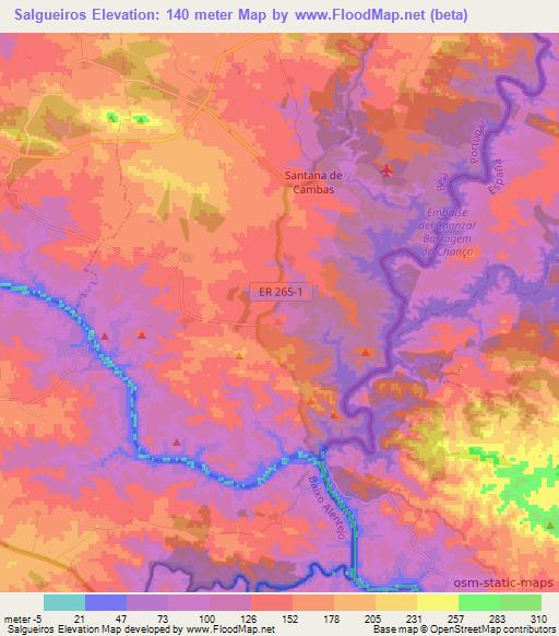 Salgueiros,Portugal Elevation Map