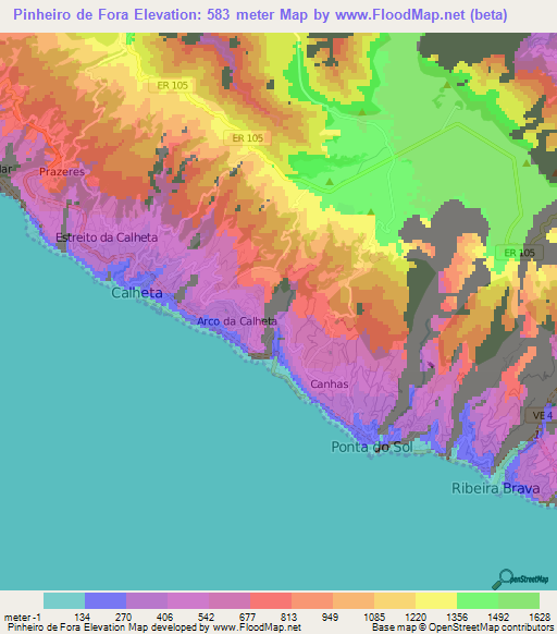 Pinheiro de Fora,Portugal Elevation Map