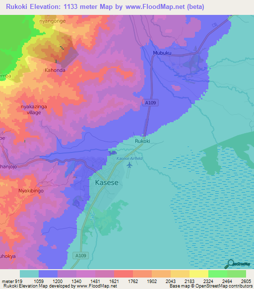 Rukoki,Uganda Elevation Map
