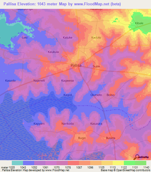 Pallisa,Uganda Elevation Map