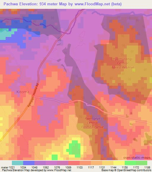 Pachwa,Uganda Elevation Map