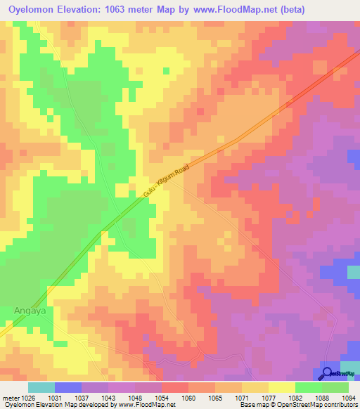 Oyelomon,Uganda Elevation Map
