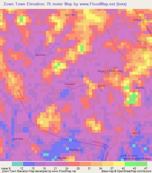 Zown Town,Liberia Elevation Map