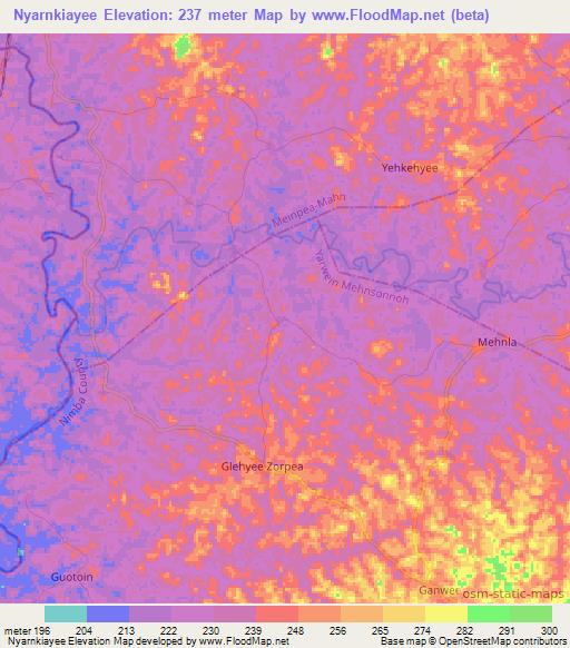Nyarnkiayee,Liberia Elevation Map
