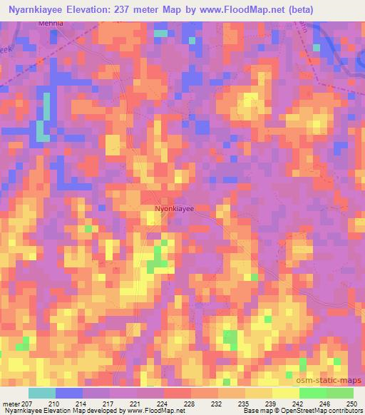 Nyarnkiayee,Liberia Elevation Map