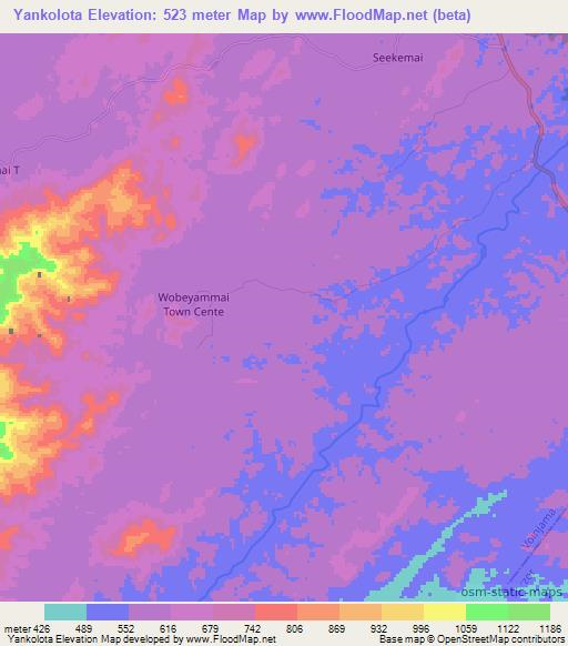 Yankolota,Liberia Elevation Map