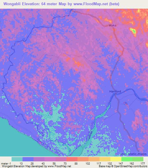 Wongabli,Liberia Elevation Map