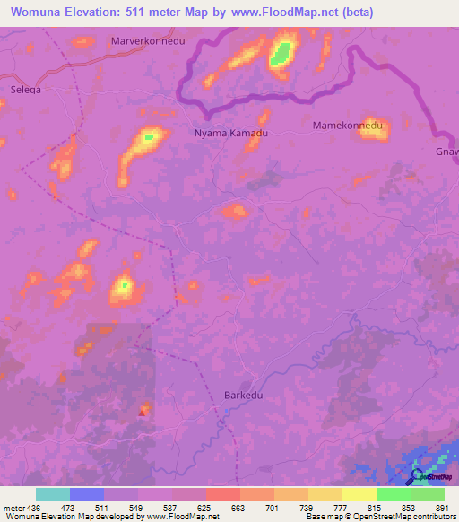 Womuna,Liberia Elevation Map