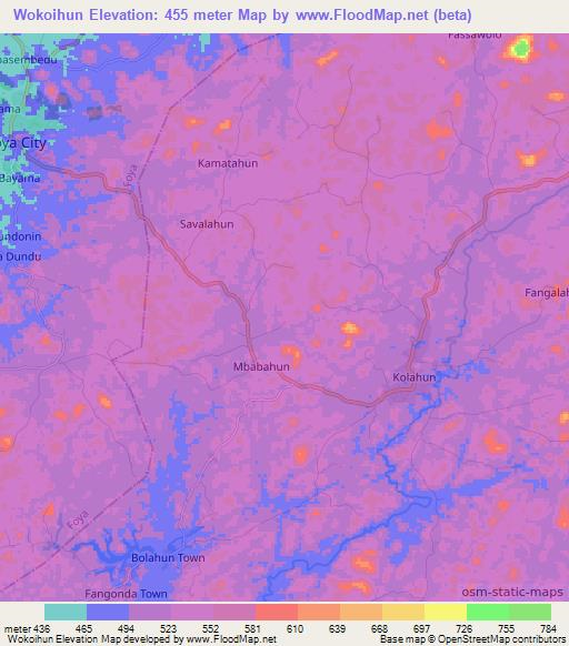Wokoihun,Liberia Elevation Map