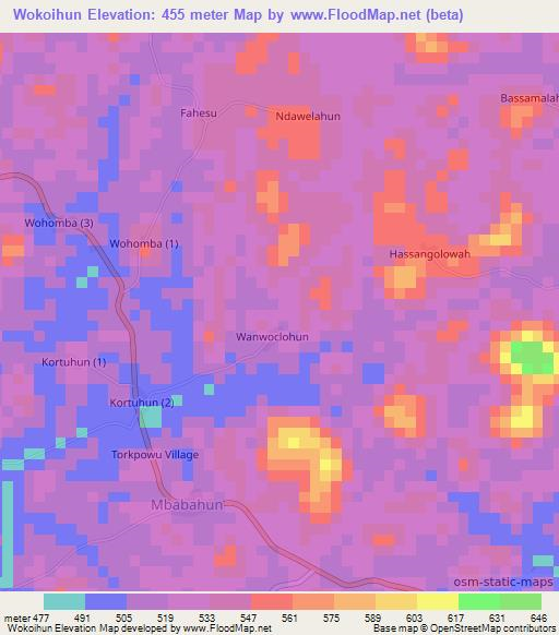 Wokoihun,Liberia Elevation Map