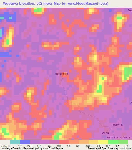 Wodenya,Liberia Elevation Map