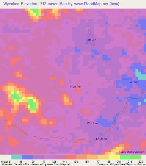 Wyenken,Liberia Elevation Map