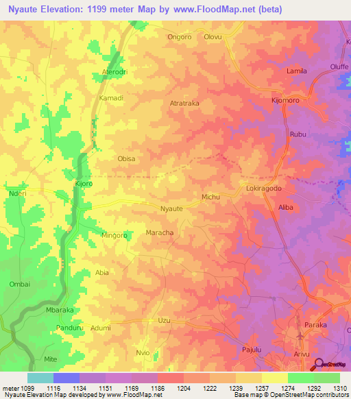 Nyaute,Uganda Elevation Map