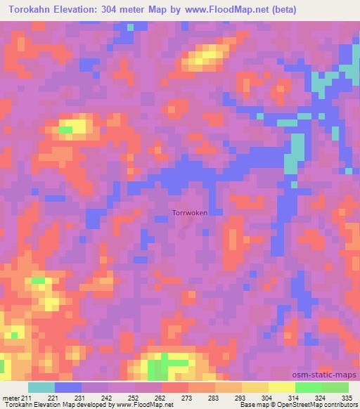 Torokahn,Liberia Elevation Map