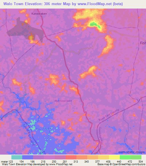 Walo Town,Liberia Elevation Map