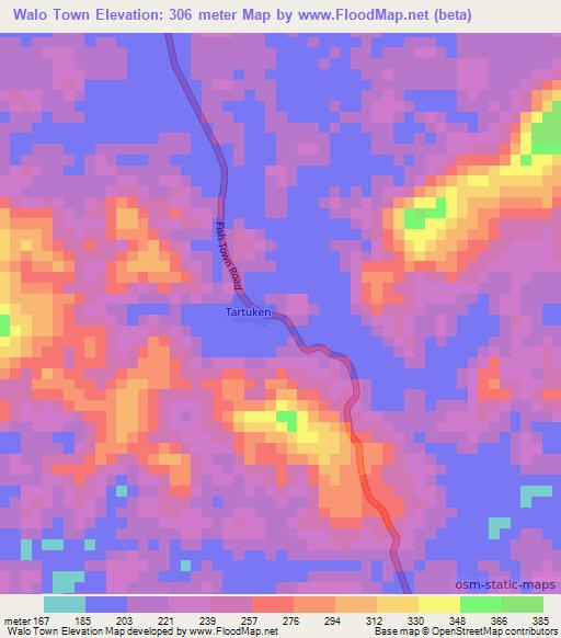 Walo Town,Liberia Elevation Map
