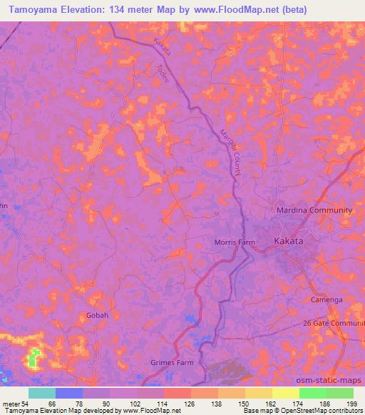 Tamoyama,Liberia Elevation Map