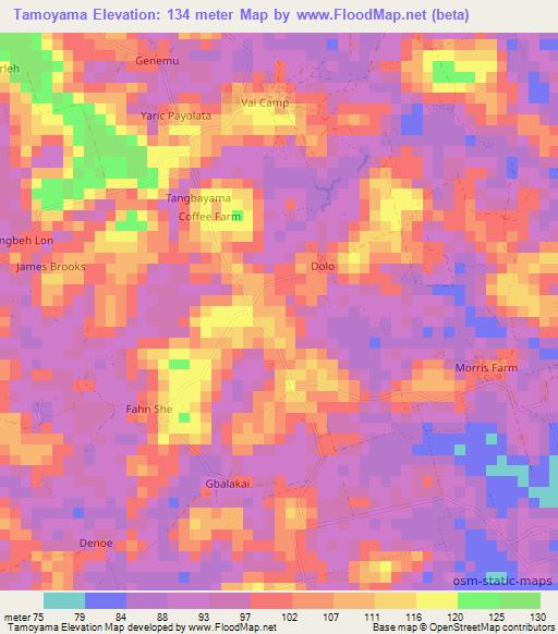 Tamoyama,Liberia Elevation Map